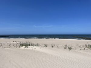 JOGINKI NAD BAŁTYKIEM